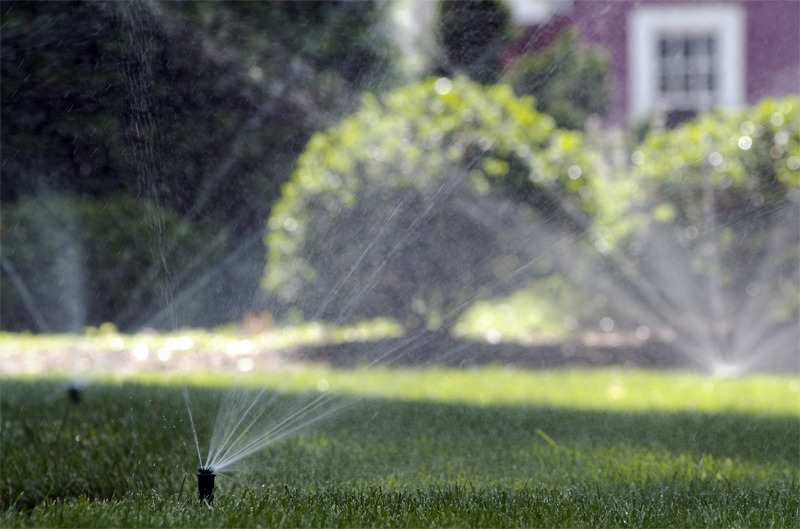 Lawn Sprinkler System