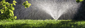contact-us-banner-300x98