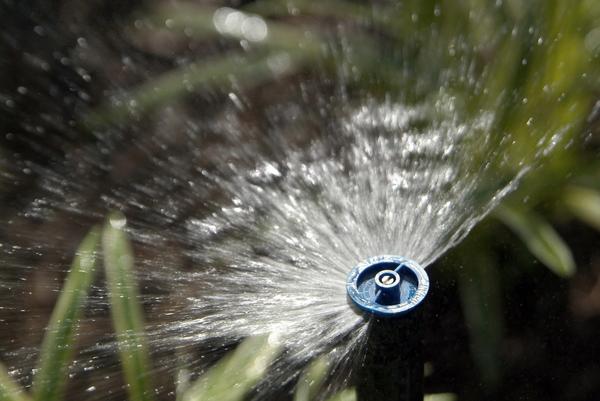 close up of a lawn sprinkler head spraying water