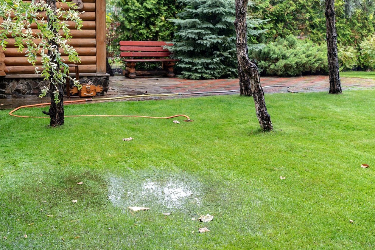 water puddle in yard