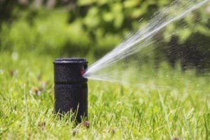 close up of a lawn sprinkler head spraying water into a yard