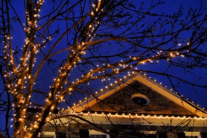 Christmas lighting around a tree