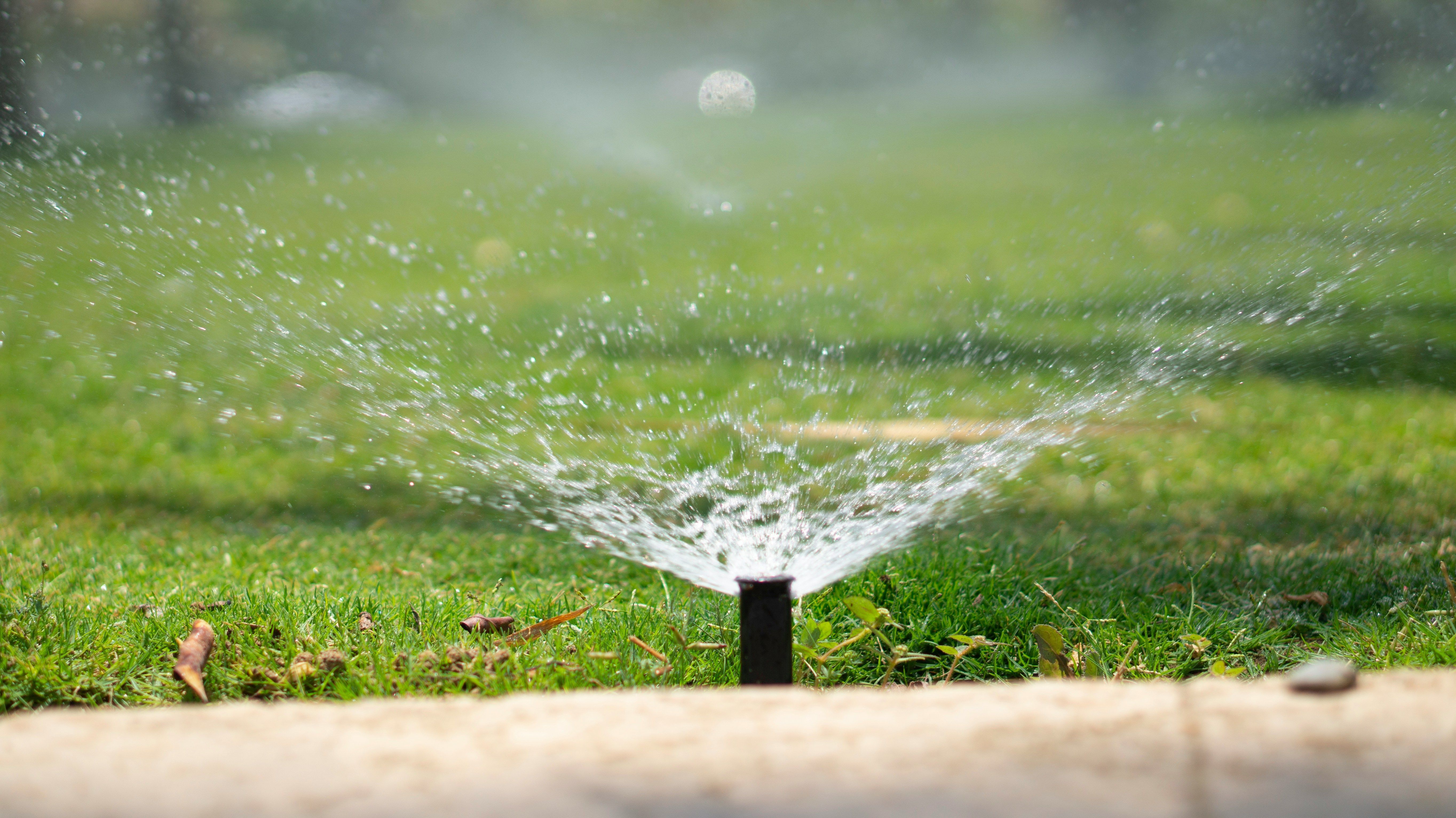sprinkler head spraying water over green grass