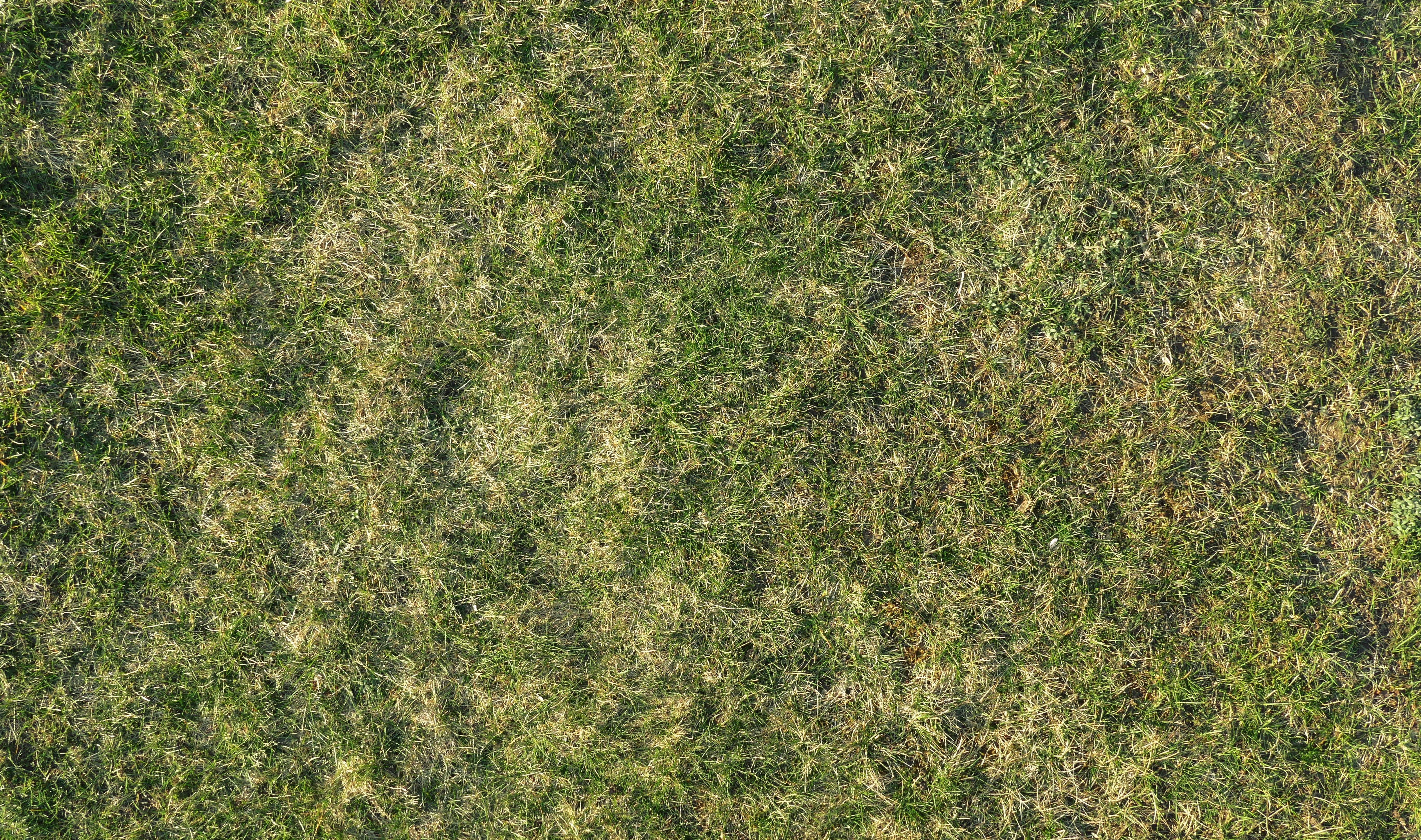 maria-hossmar-jfXMOyNlrZg-unsplash