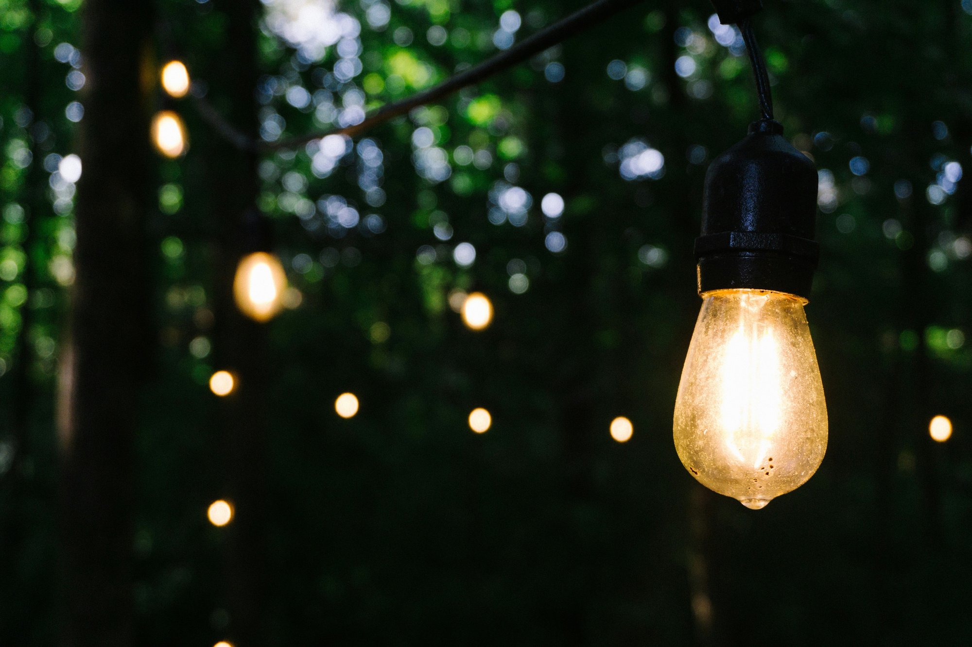 phil-goodwin-ox8mvQKxesE-unsplash