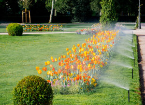 TLC Inc Sprinkler Systems Washington D.C.