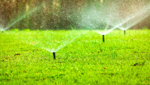 TLC Inc Sprinkler Systems Frederick County, MD