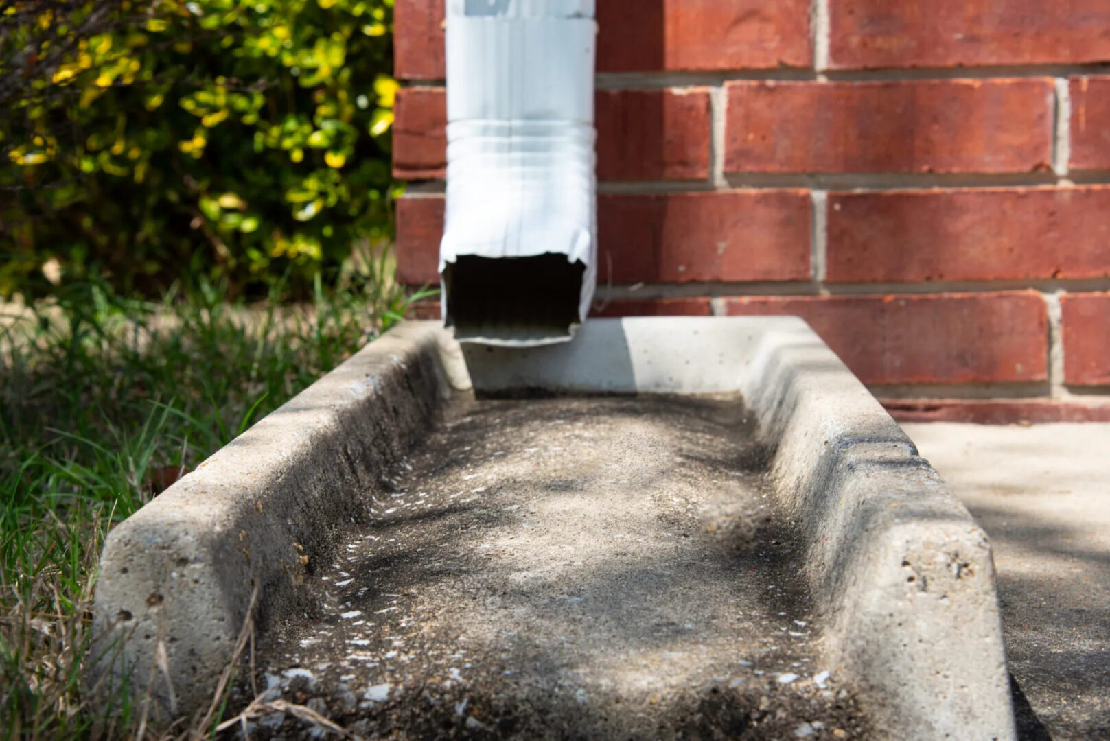 Downspout Drainage 1