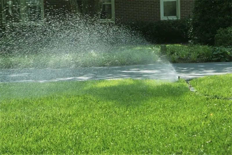 Lawn Sprinkler System 1