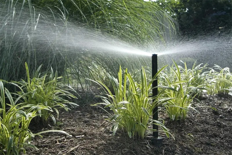 Lawn Sprinkler System 6