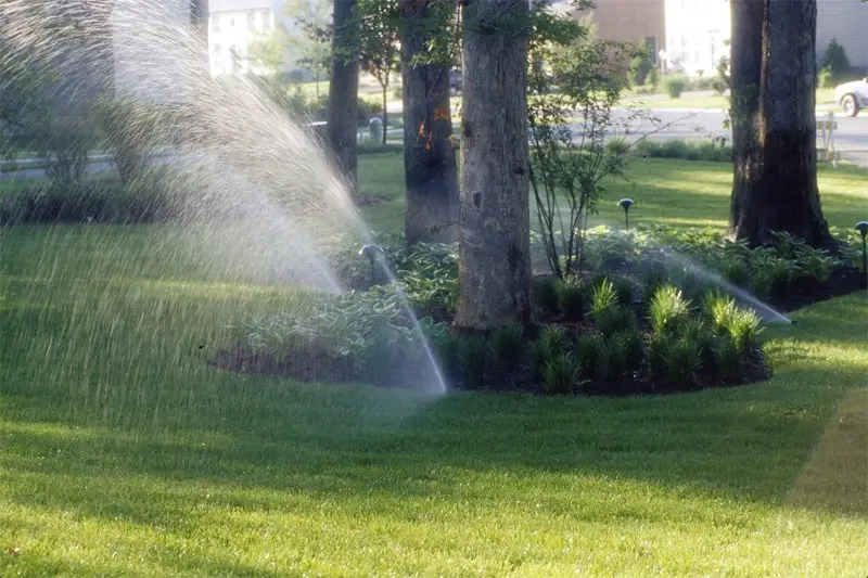 Lawn Sprinkler System 7