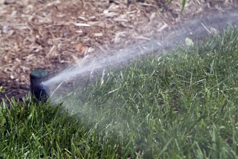 Lawn Sprinkler System 8