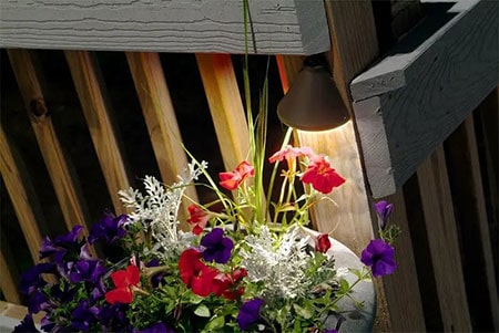 Outdoor Deck Lighting