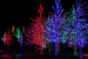 tlc inc holiday lighting in  howard county md