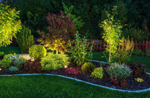 TLC Inc Landscape Lighting in Howard County, MD