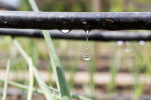 TLC Inc Irrigation Systems in Hartford County