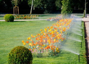 TLC Inc. Lawn Sprinklers in Crofton, MD