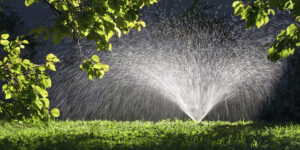 TLC Inc. Lawn Sprinklers in Owings Mills, MD