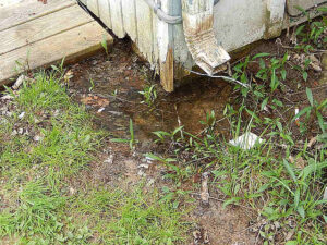 tlc incorporated water low spots